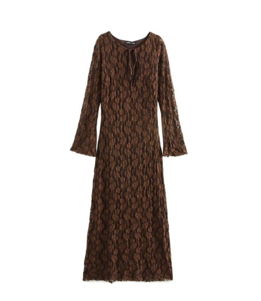 Women Zara Brown long lace dress